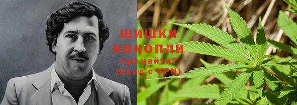трава Няндома