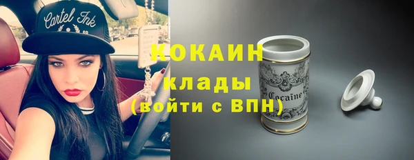 трава Няндома