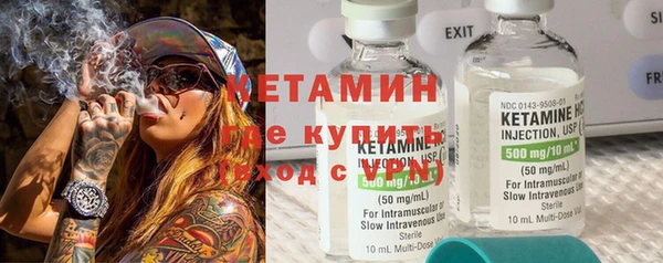 трава Няндома