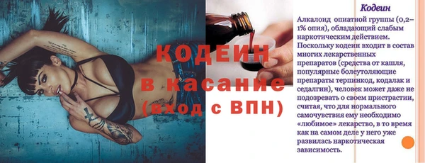 трава Няндома