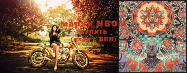 мдпв Губаха