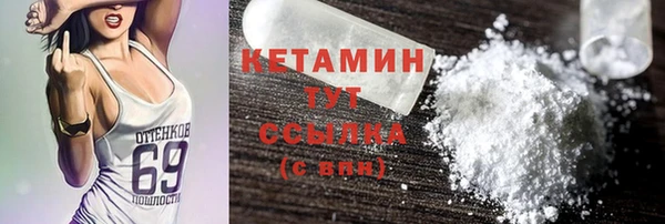 трава Няндома